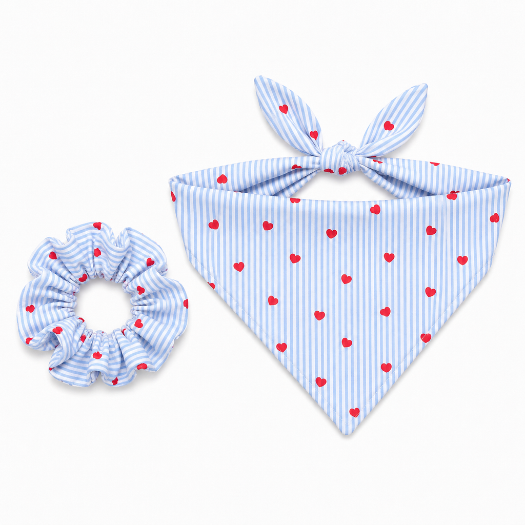 the blue hearts set