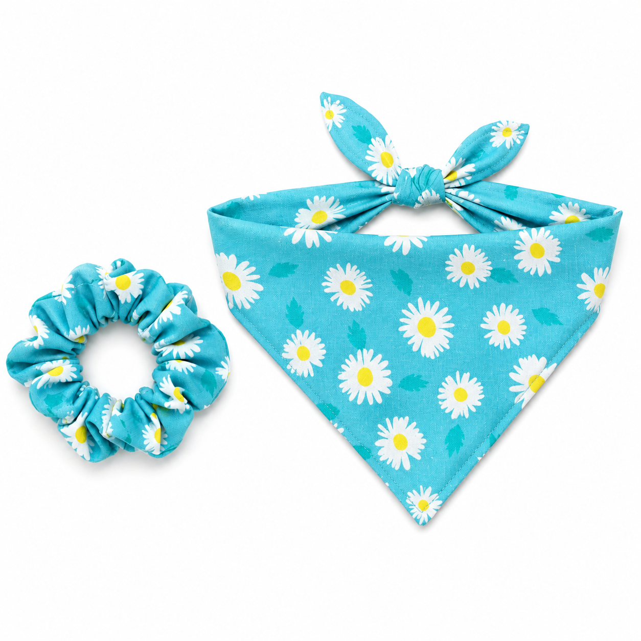 the teal daisy set