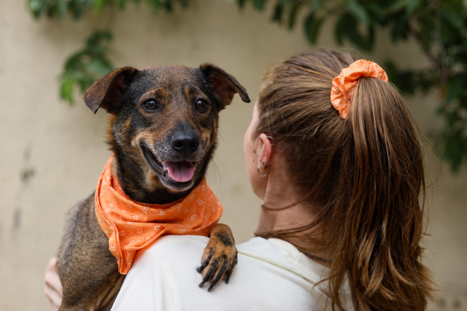 Woman wearing Orange Blossom scrunchie holding a dog wearing the matching Orange Blossom bandana — Fetch Club India